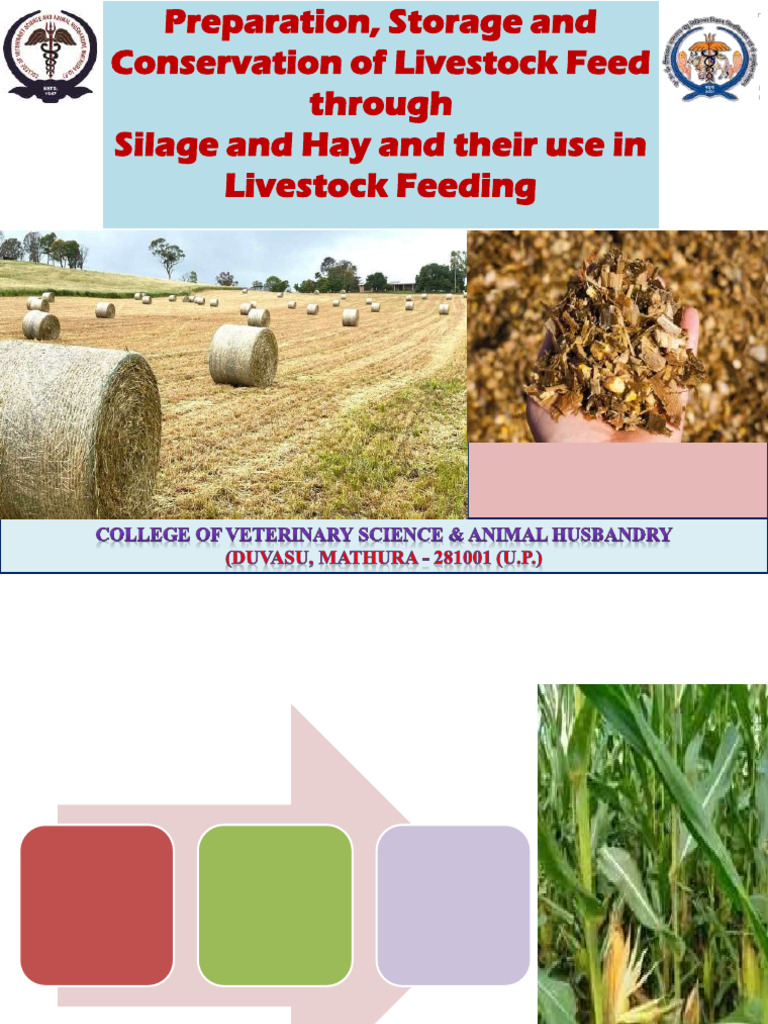 Livestock Feed Conservation: Silage & Hay | PDF | Hay | Fermentation