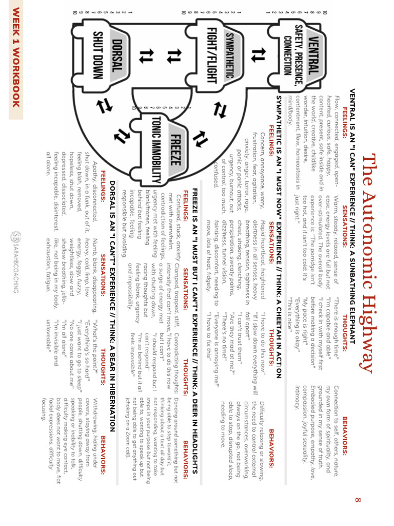 111 | PDF