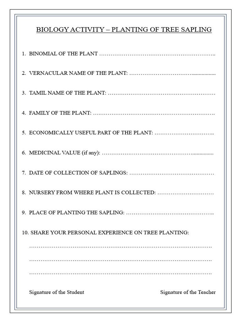 Tree Planting Activity Report | PDF