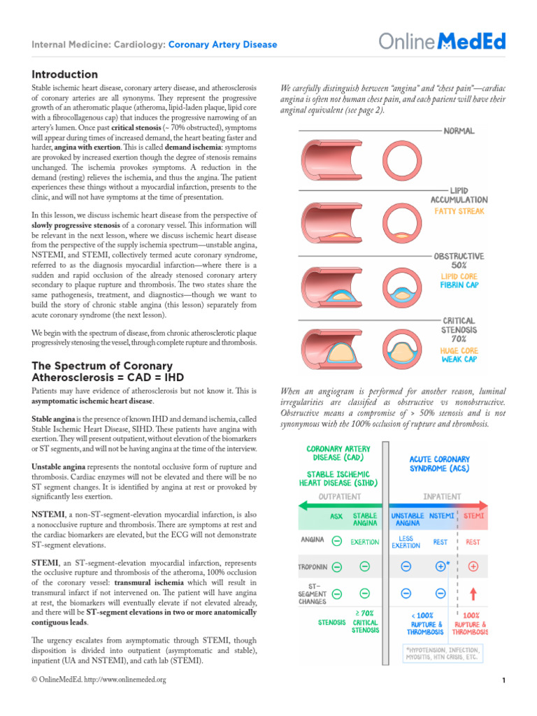 Understanding Coronary Artery Disease | PDF | Coronary Artery Disease ...