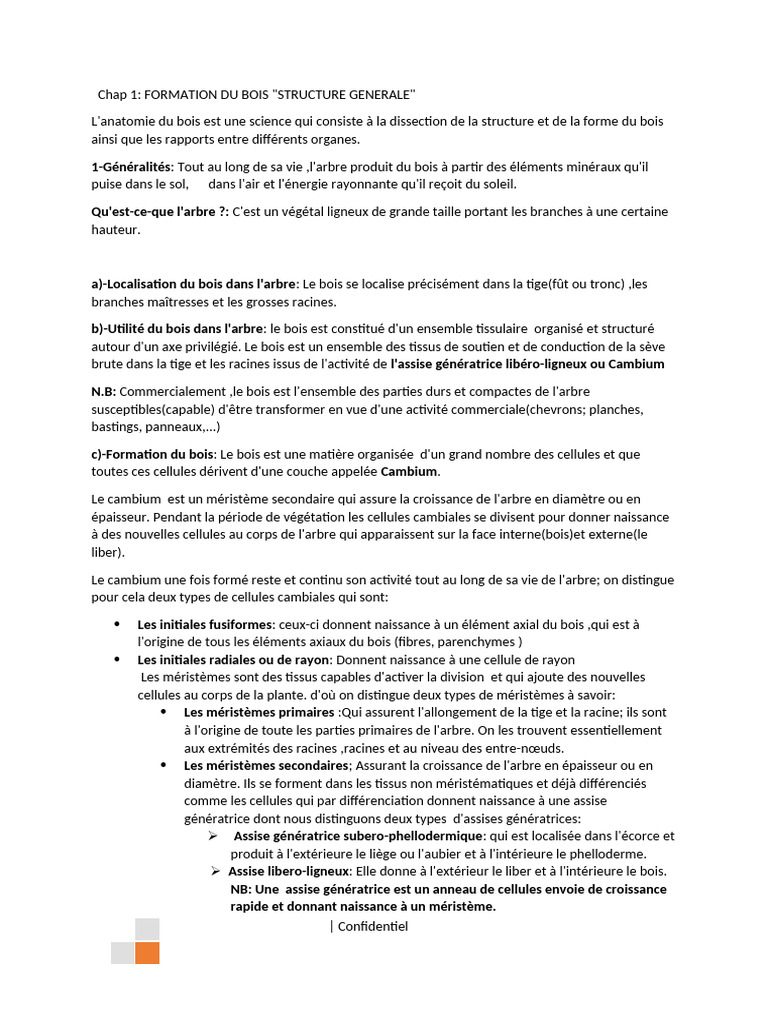 Anatomie et Formation du Bois | PDF | Bois | Cytoplasme