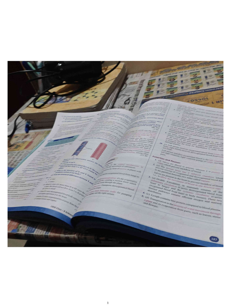Fltu PDF 2 | PDF
