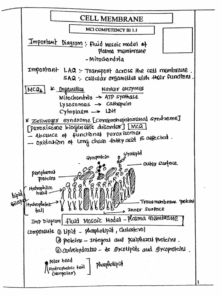 JHAMBULKAR BIOCHEM t1 | PDF