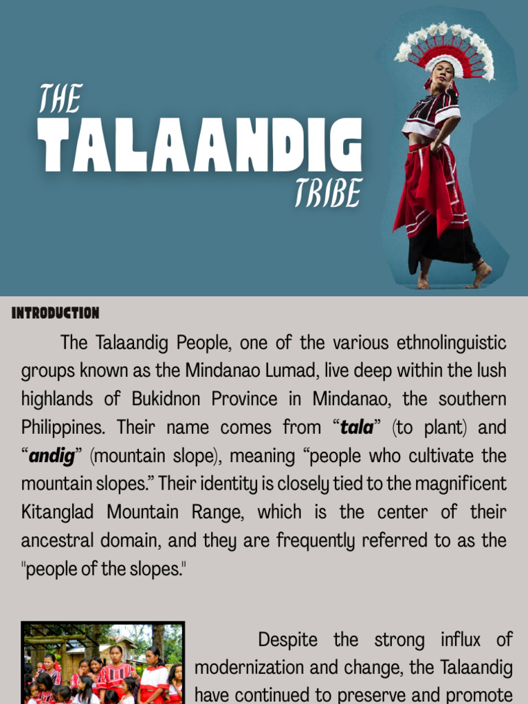 Talaandig Tribe: Culture and Livelihood | PDF | Agriculture
