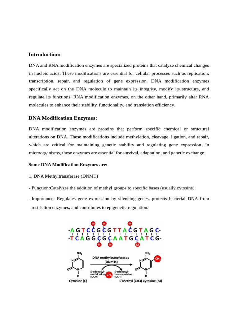 DNA and RNA Modification Enzymes Overview | PDF | Rna | Dna