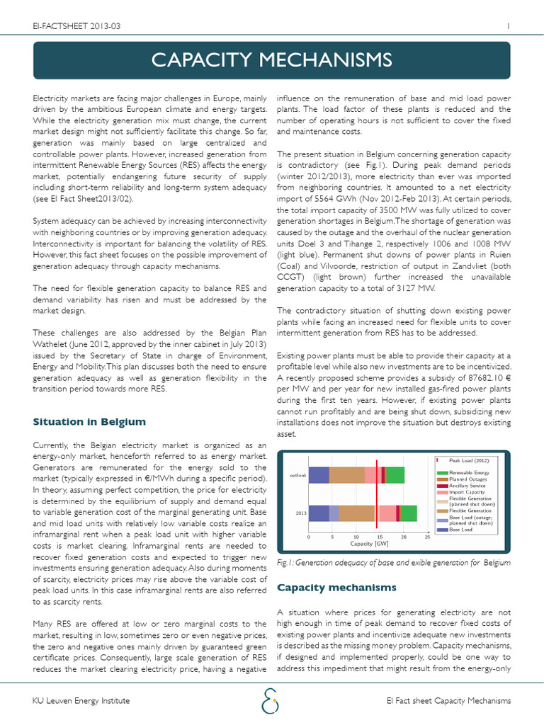KULEUVEN EI Capacity Mech Factsheet | PDF | Demand | Option (Finance)
