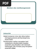 Download Methan Dan Methanogenesis n by Indah Trisnaning SN97394612 doc pdf