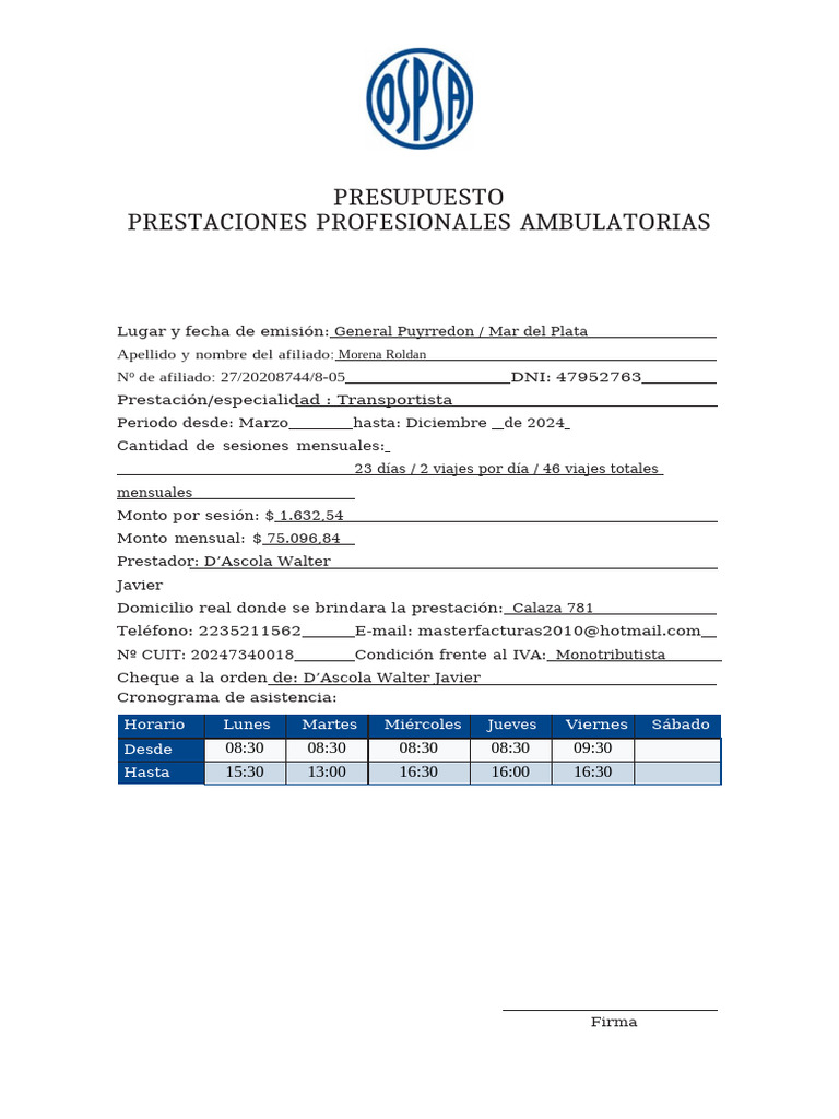 Presupuesto de Transporte Profesional 2024 | PDF