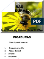 Proc S 15 Picaduras Mordeduras