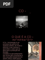 Download Co Incinerao by Rute SN9739684 doc pdf