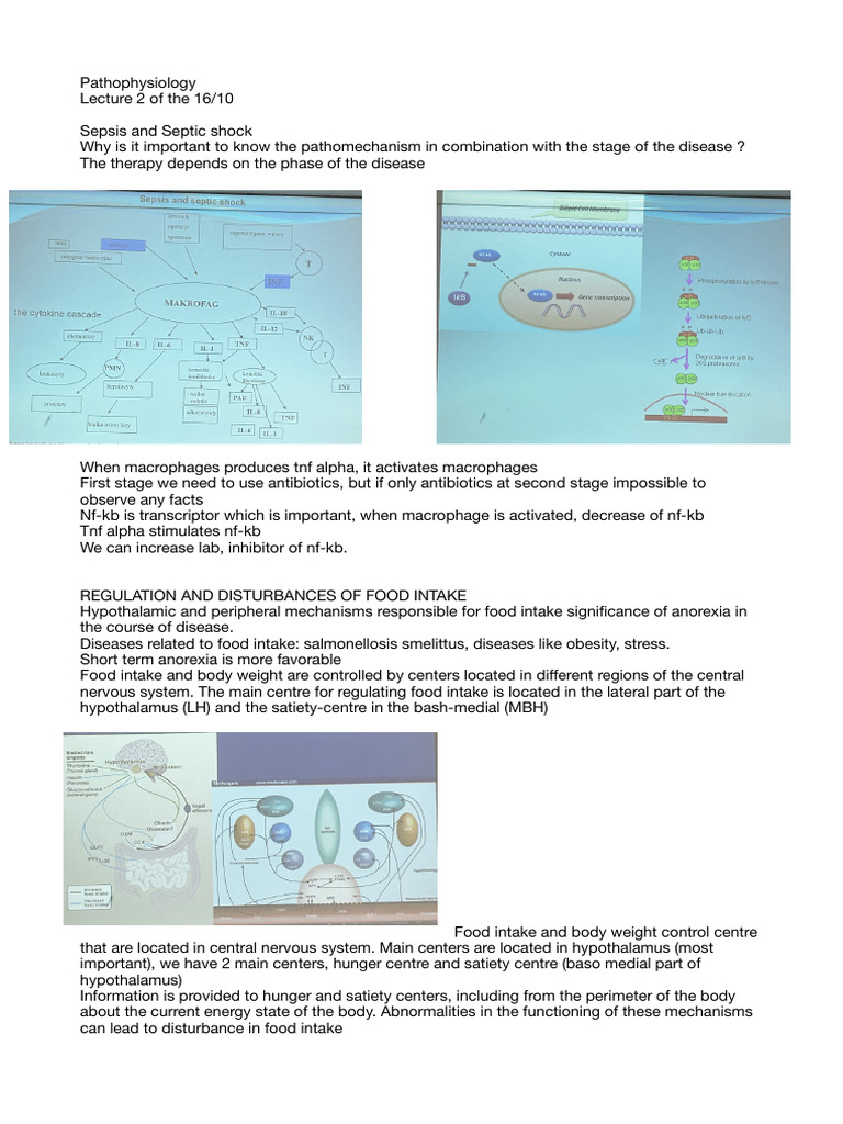 Pathophysio Lecture | PDF | Leptin | Eating