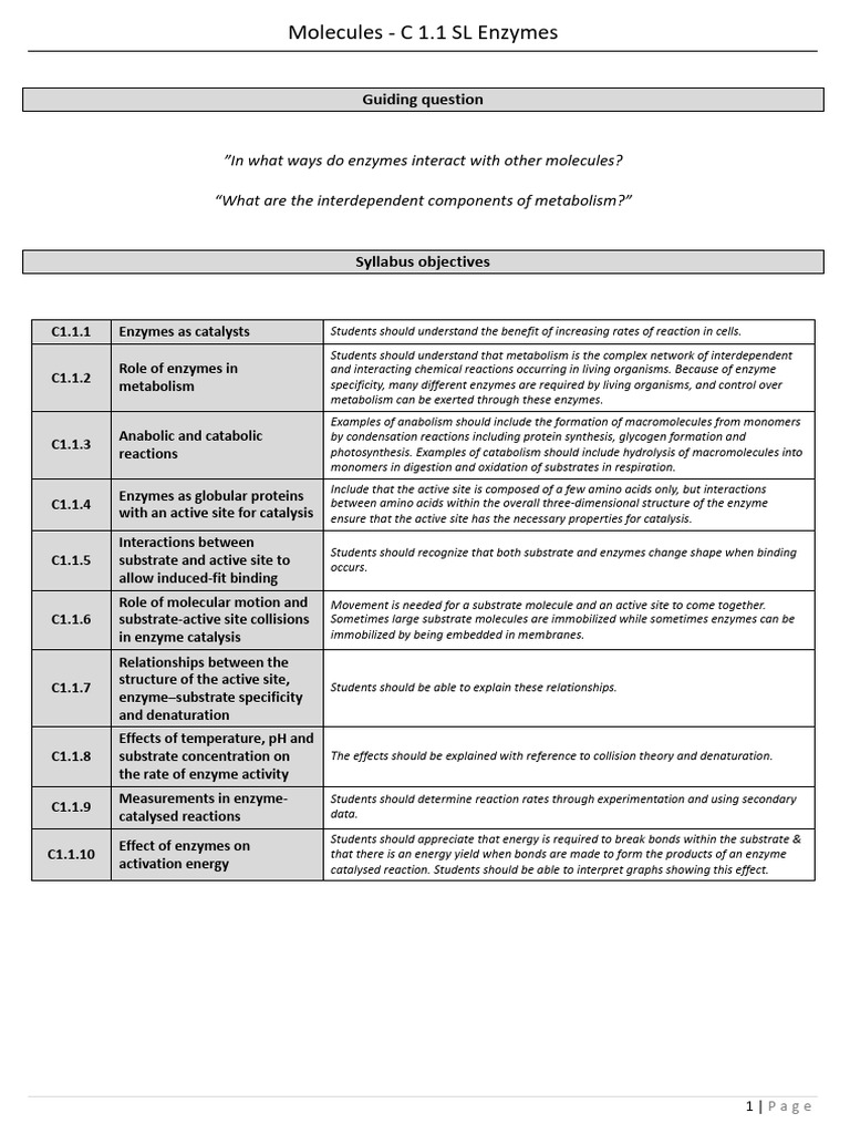 1. C 1.1 SL Enzymes - Student Notes | PDF | Enzyme | Active Site