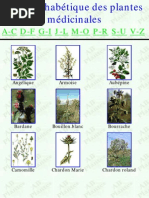 Download Guide Des Plantes Medicinales 2 by Hassen Kissoum SN97398034 doc pdf