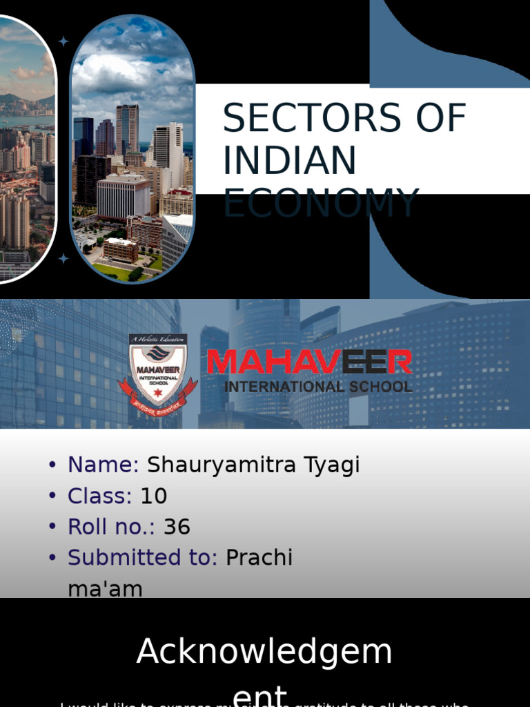 Sectors of the Indian Economy Explained | PDF | Labour Law | Employment