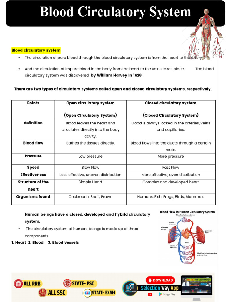 FilesBloodcirculatorysystemEnglish Blood Circulato 251223 153132 | PDF ...