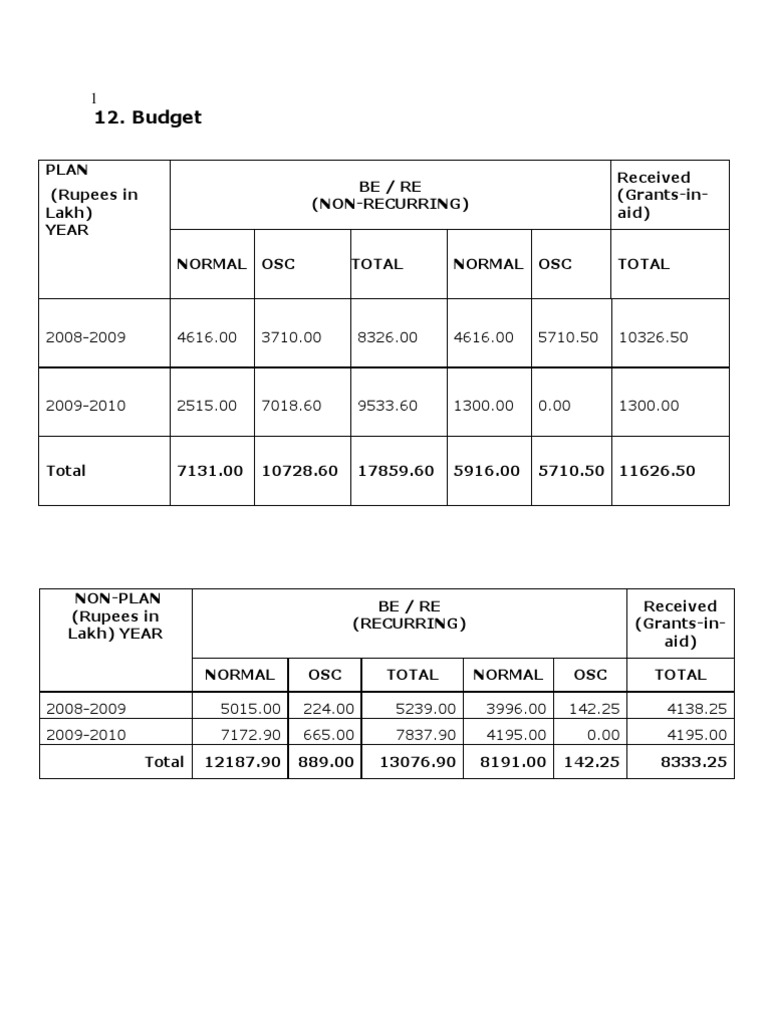 Budget Overview and Grants Analysis | PDF | Finance & Money Management