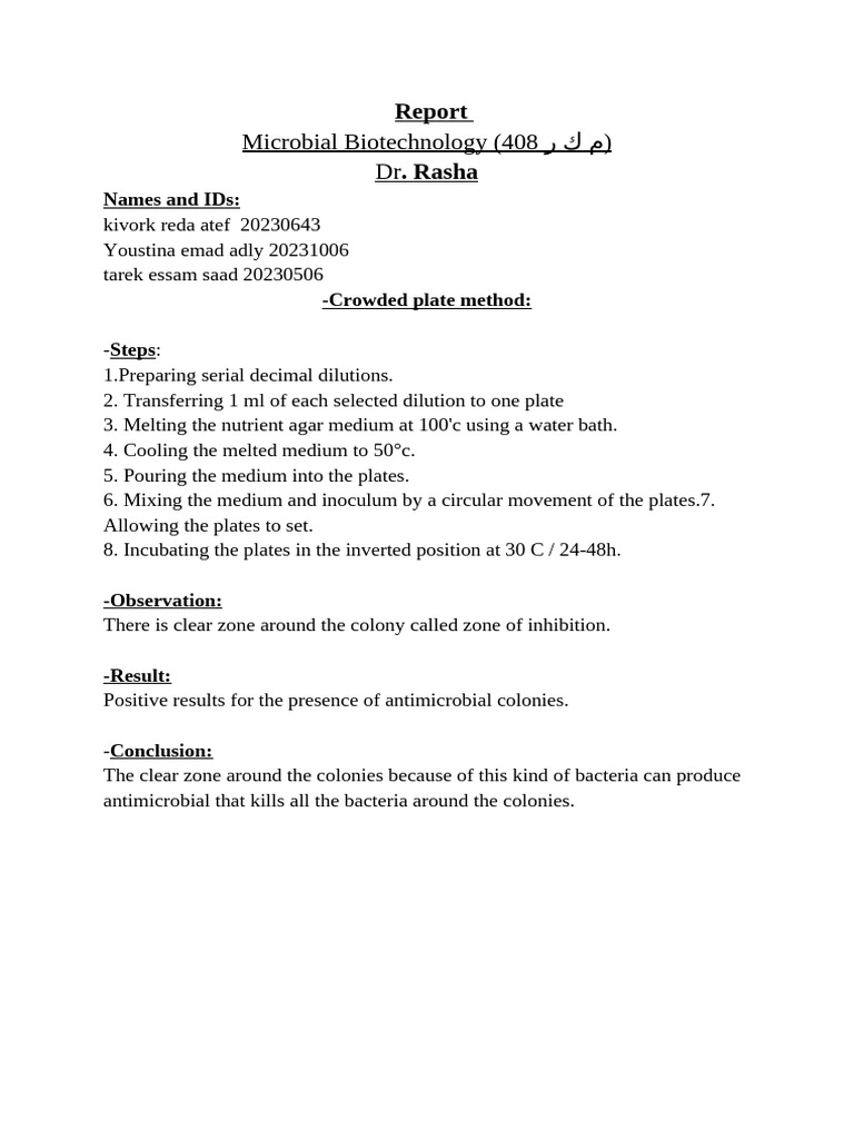 Report Mic | PDF