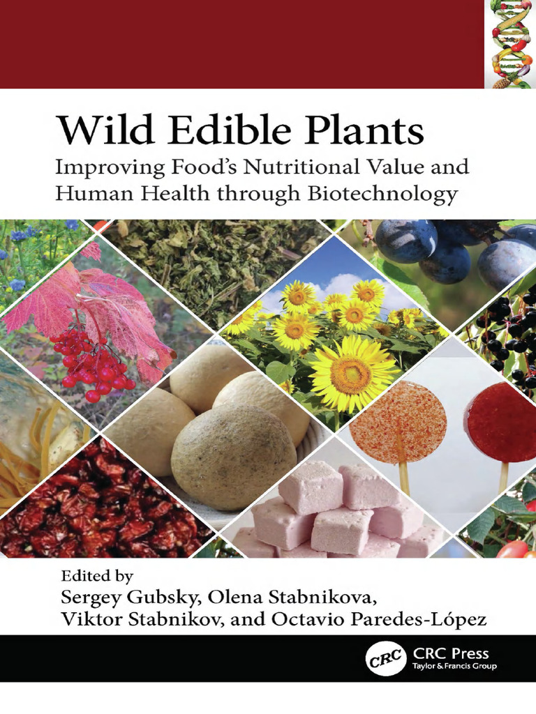 Wild Edible Plants in Food Biotechnology | PDF | Breads | Edible Mushroom