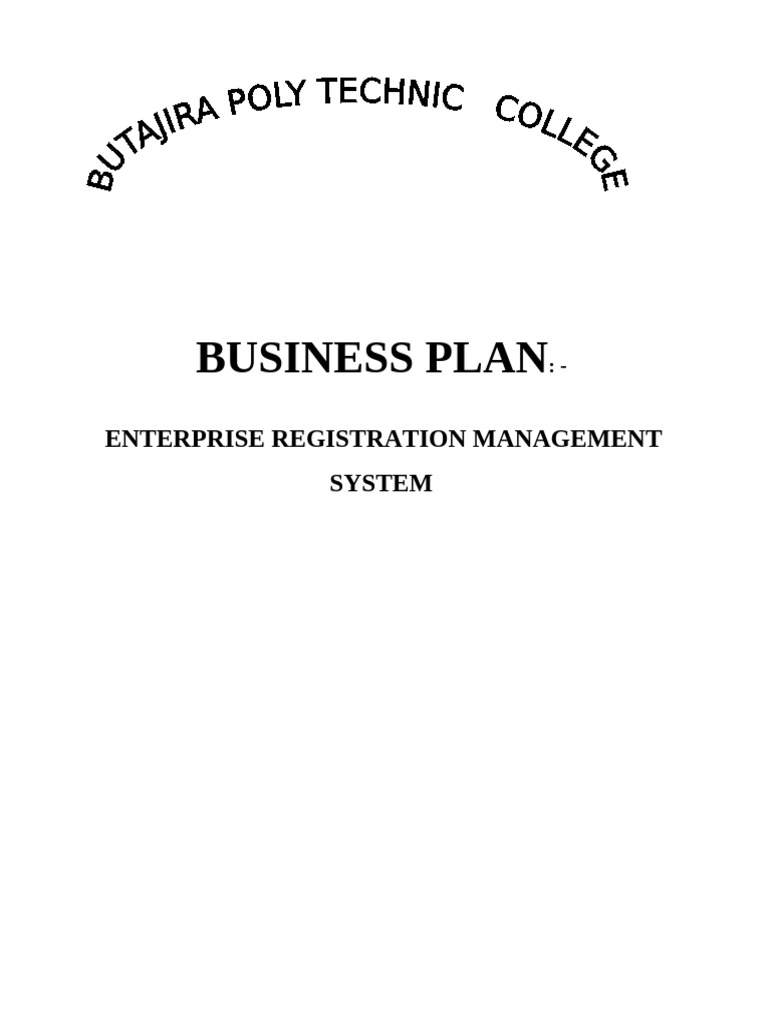 Enterprise Registration Management System Plan | PDF | Personal ...
