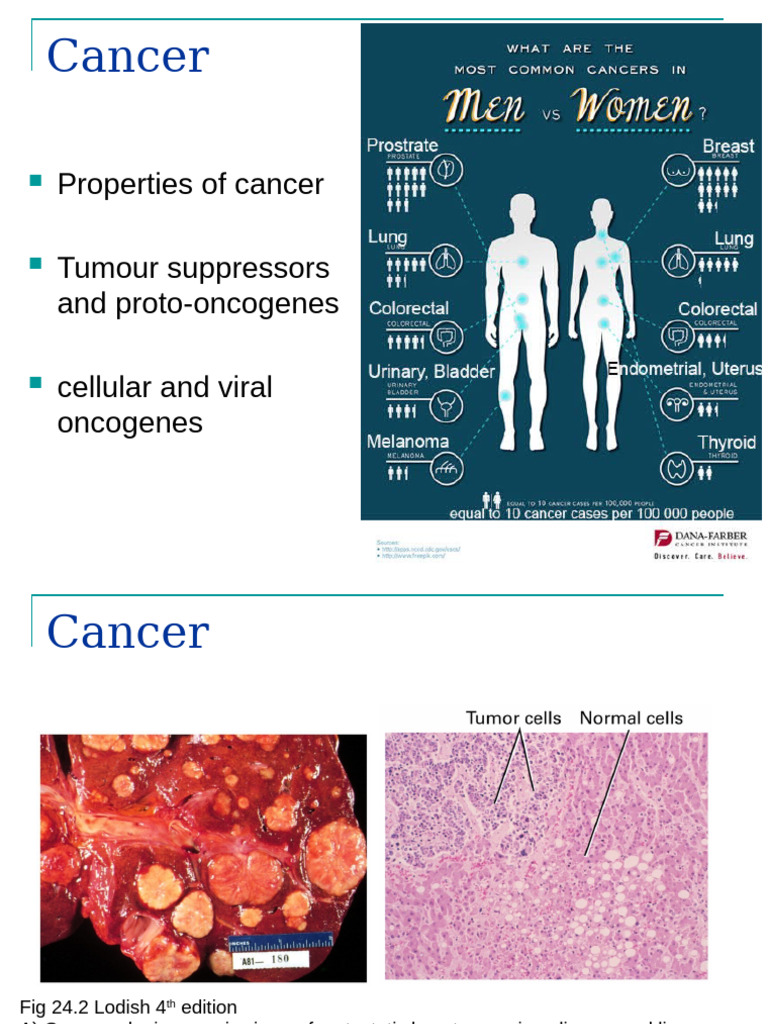 Cell Cycle Lecture 11 Properties and Treatment of Cancer | PDF