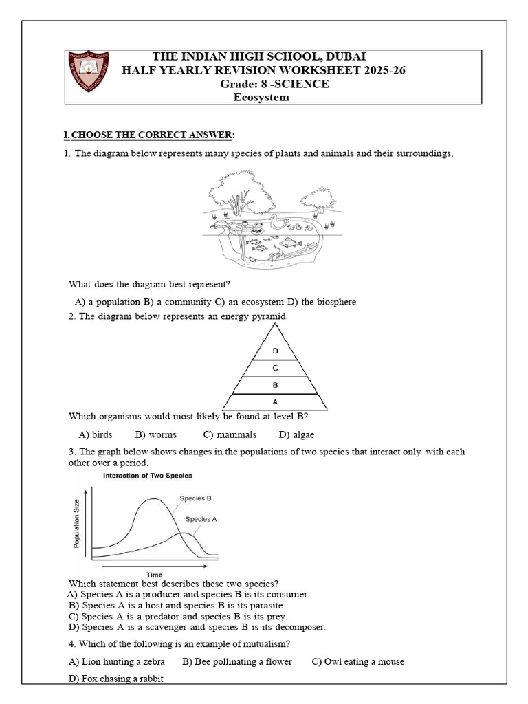 Ecosystem Revision Worksheet for Grade 8 | PDF | Food Web | Predation