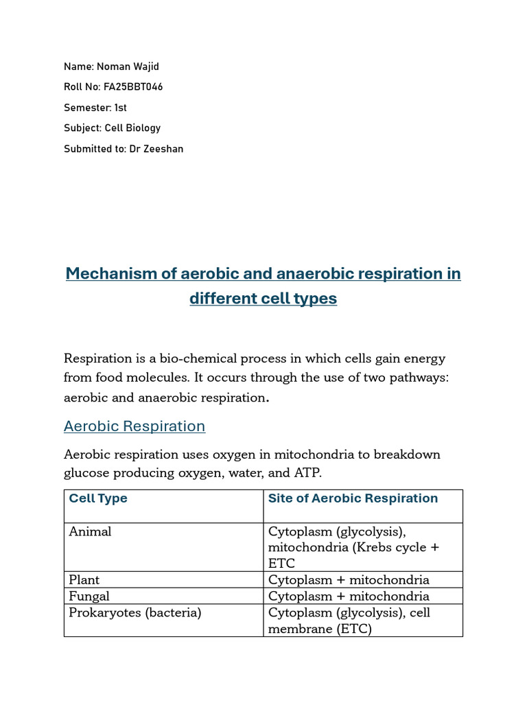 Aerobic vs Anaerobic Respiration Explained | PDF | Cellular Respiration ...