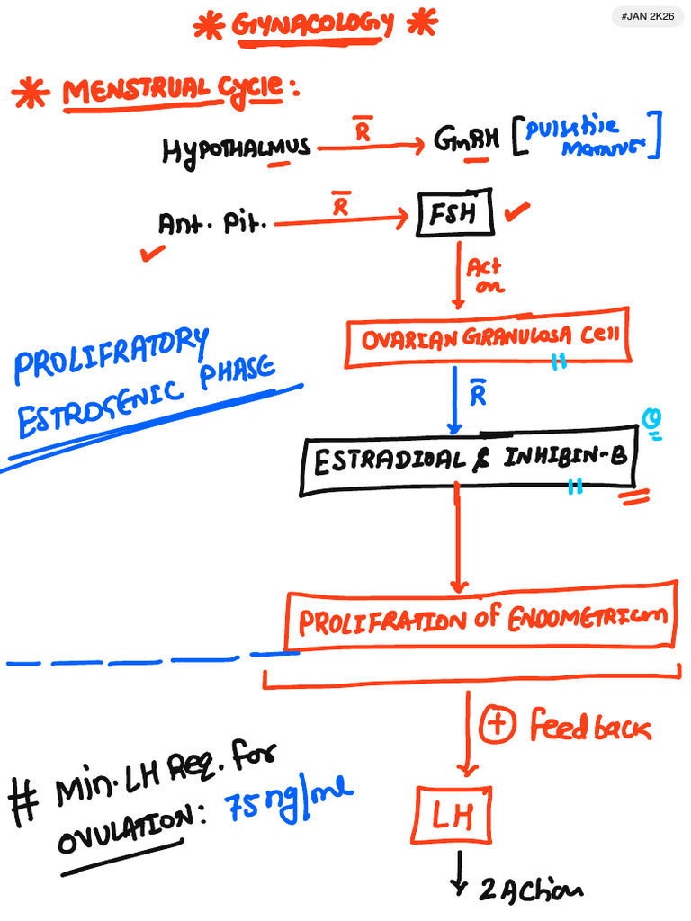 Gynaecology Dec 5 | PDF