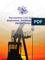 Key Concerns in The Petroleum - A5 24 May 2012