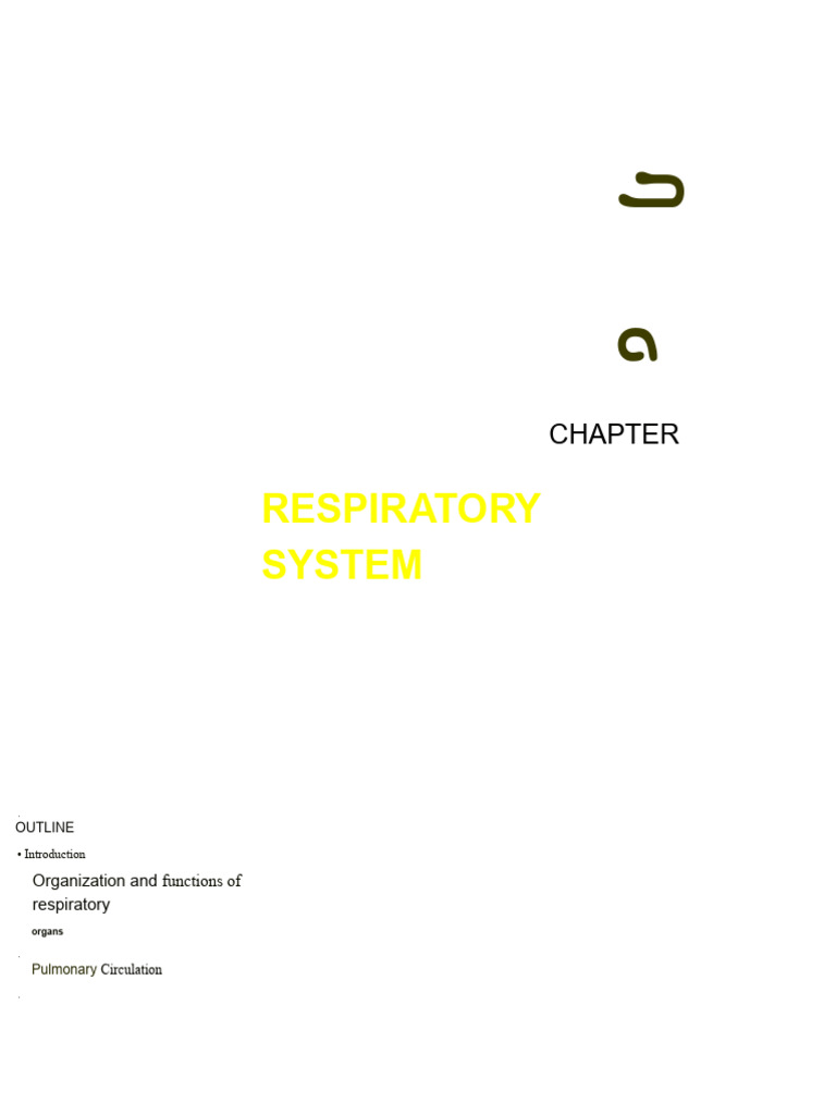 U-2 Physiology Respiratory System - Google Docs | PDF | Respiration ...