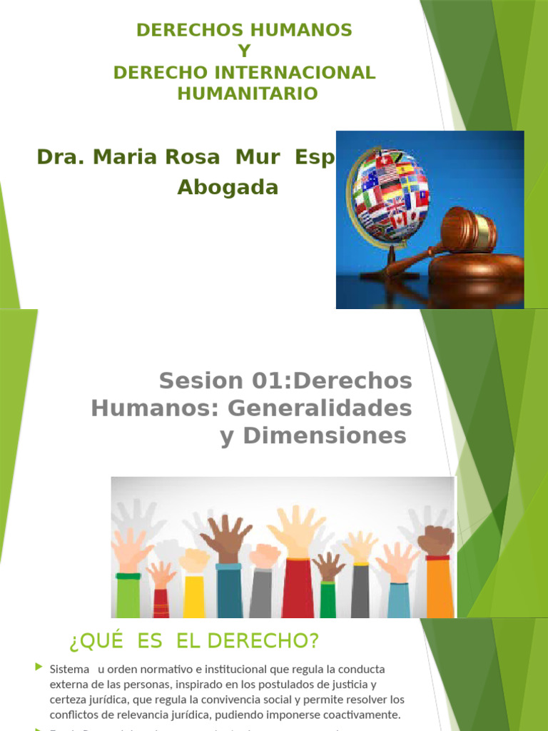 Derechos Humanos y Derecho Internacional | PDF