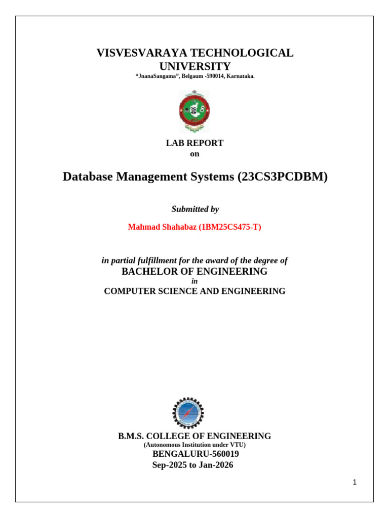 DBMSreport | PDF | Databases | Data Management