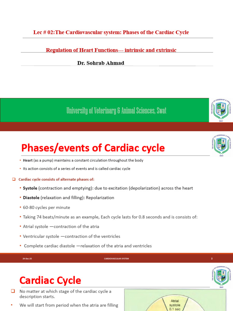 Phases of the Cardiac Cycle Explained | PDF | Heart Valve | Atrium (Heart)