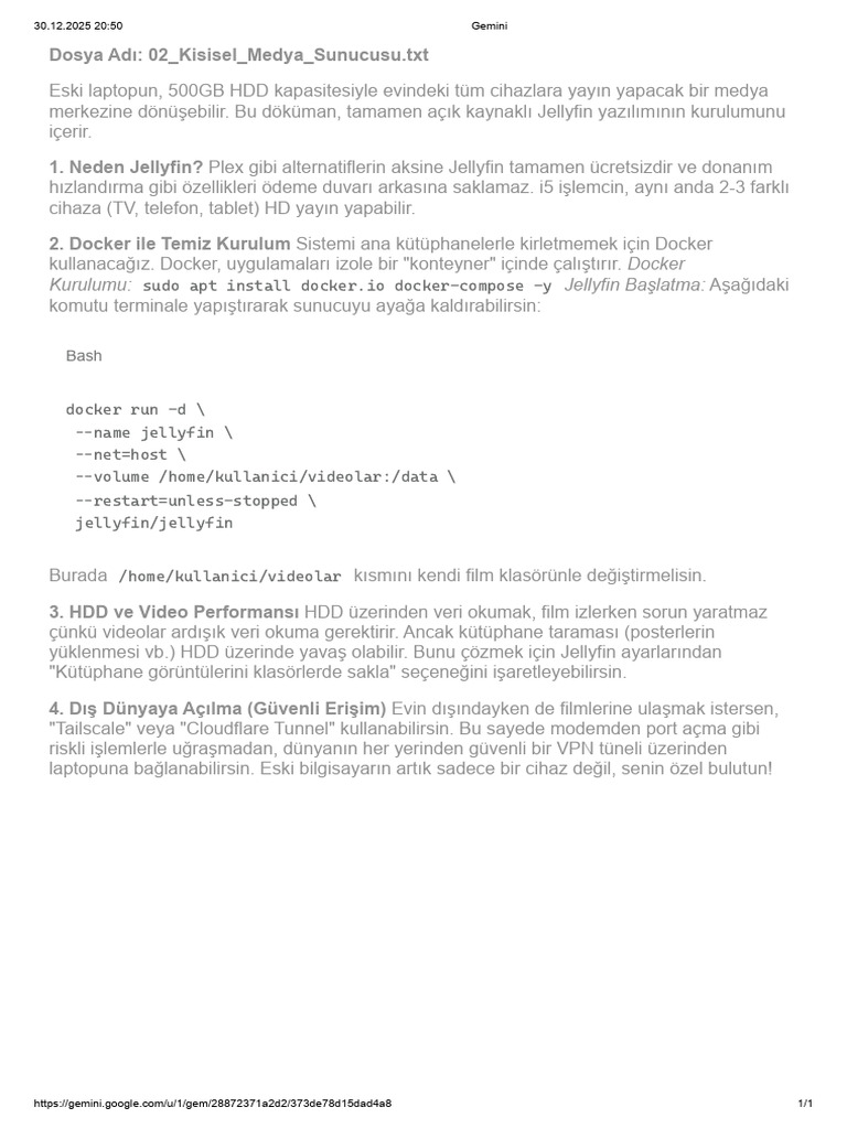 Gemini 2 | PDF