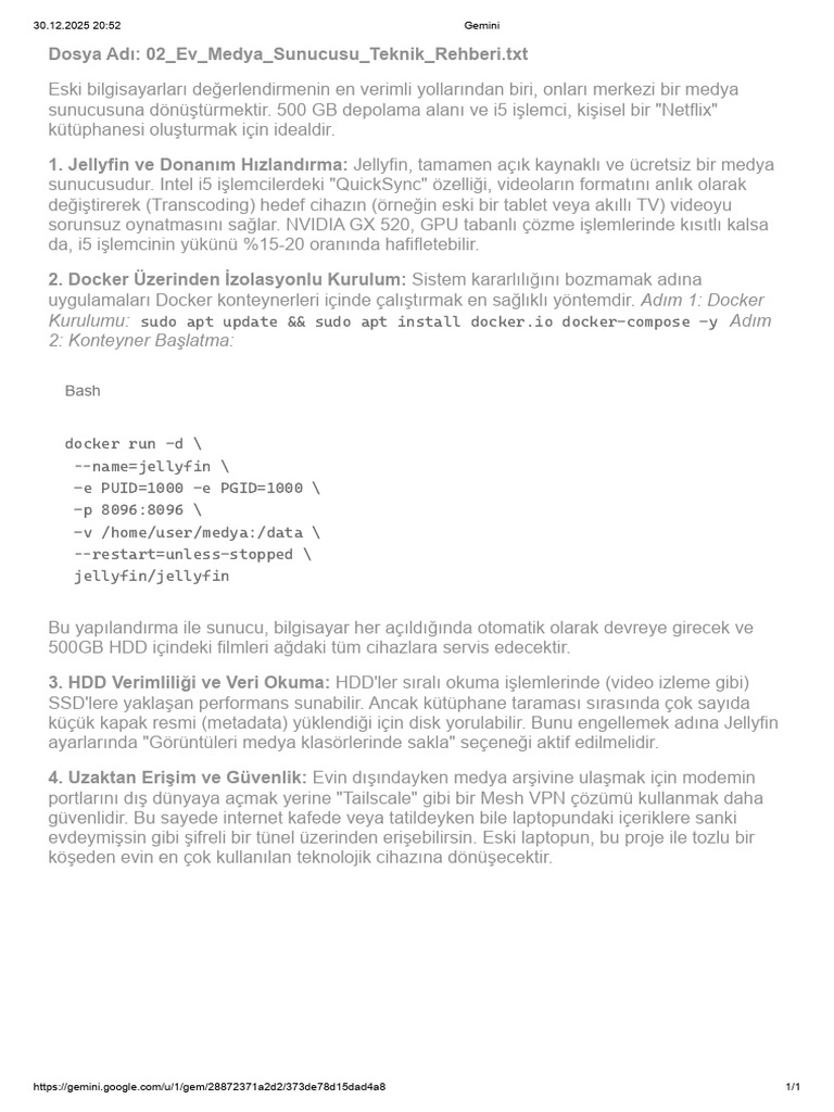 Gemini 2 | PDF