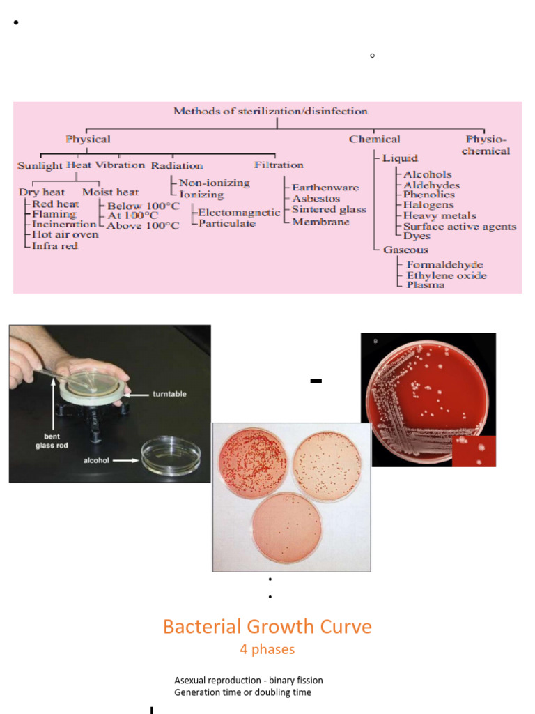 Methods of Bacterial Sterilization Explained | PDF