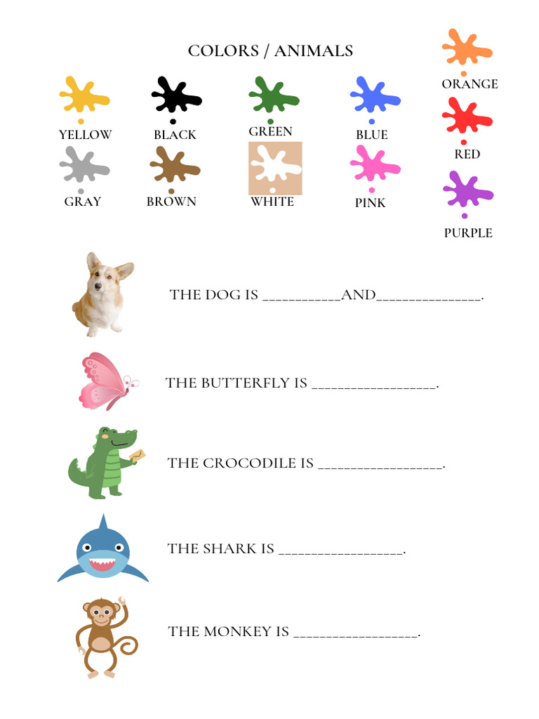 Colors and Animals | PDF