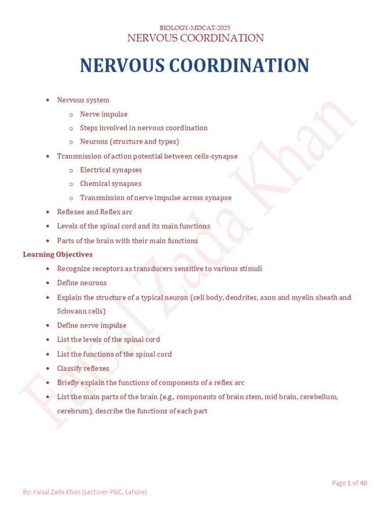 Nervous Coordination in Biology MDCAT 2025 | PDF | Chemical Synapse ...