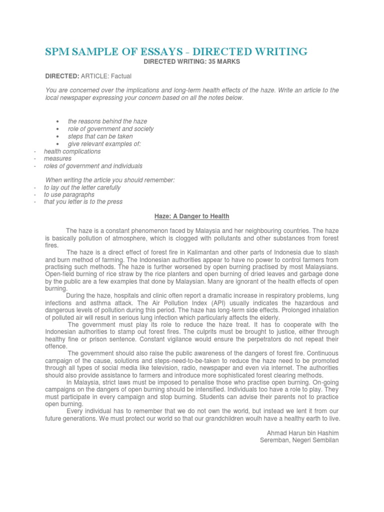 Short essay on fantasy land picture