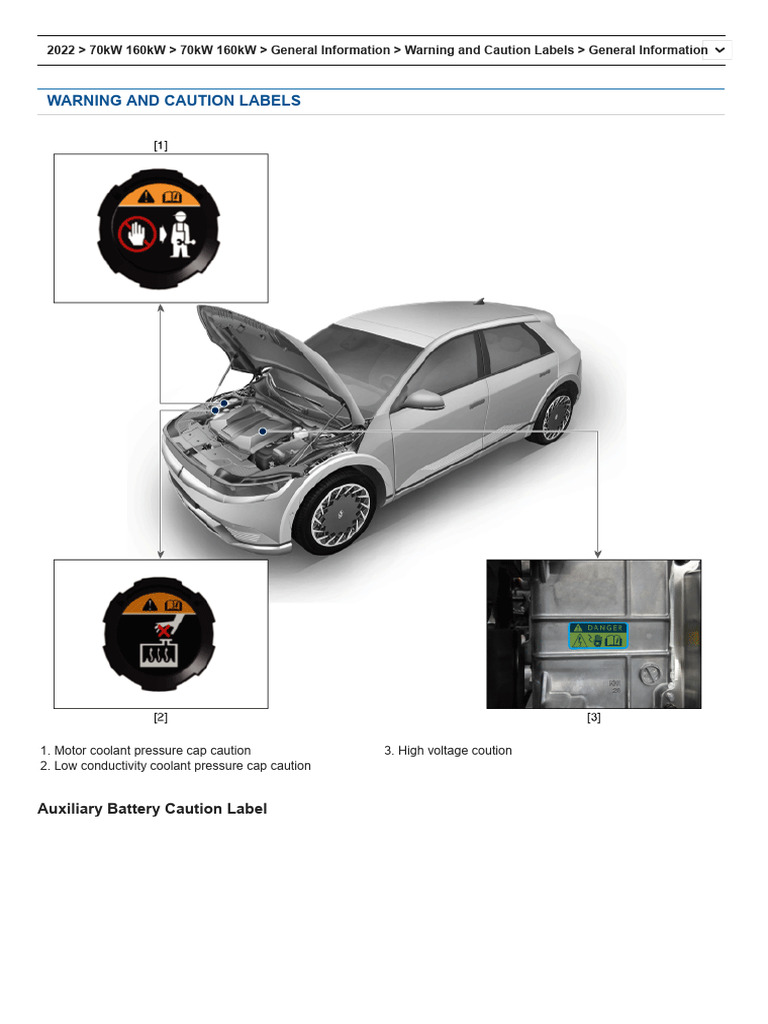 Auxiliary Battery Safety Guidelines | PDF | Combustion | Electricity
