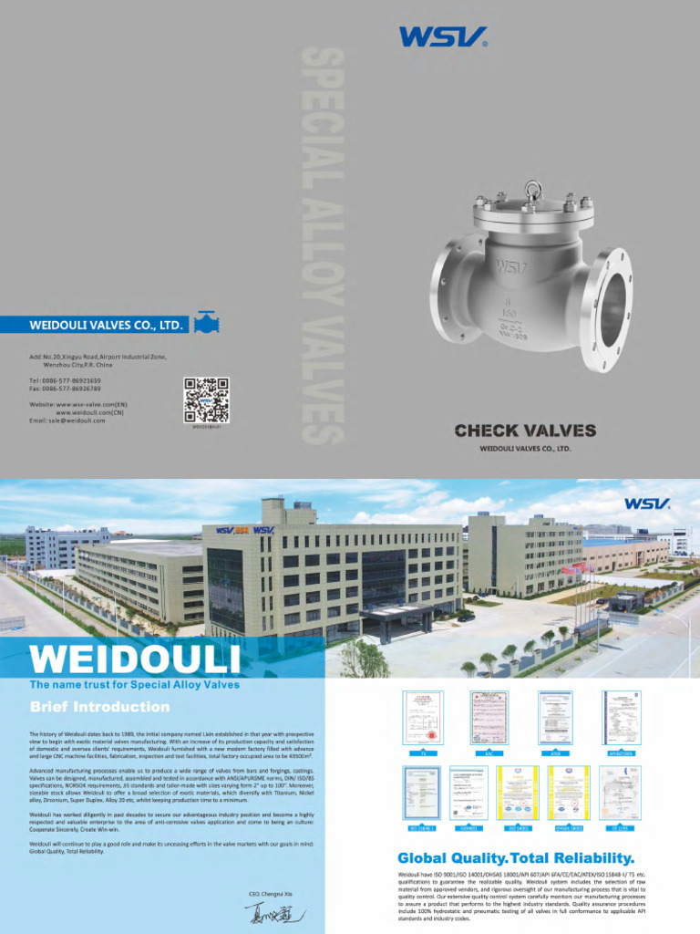 WSV Check Valves Catalogue | PDF