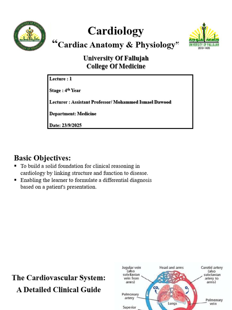 Cardiac Anatomy and Physiology Guide | PDF | Heart | Heart Valve