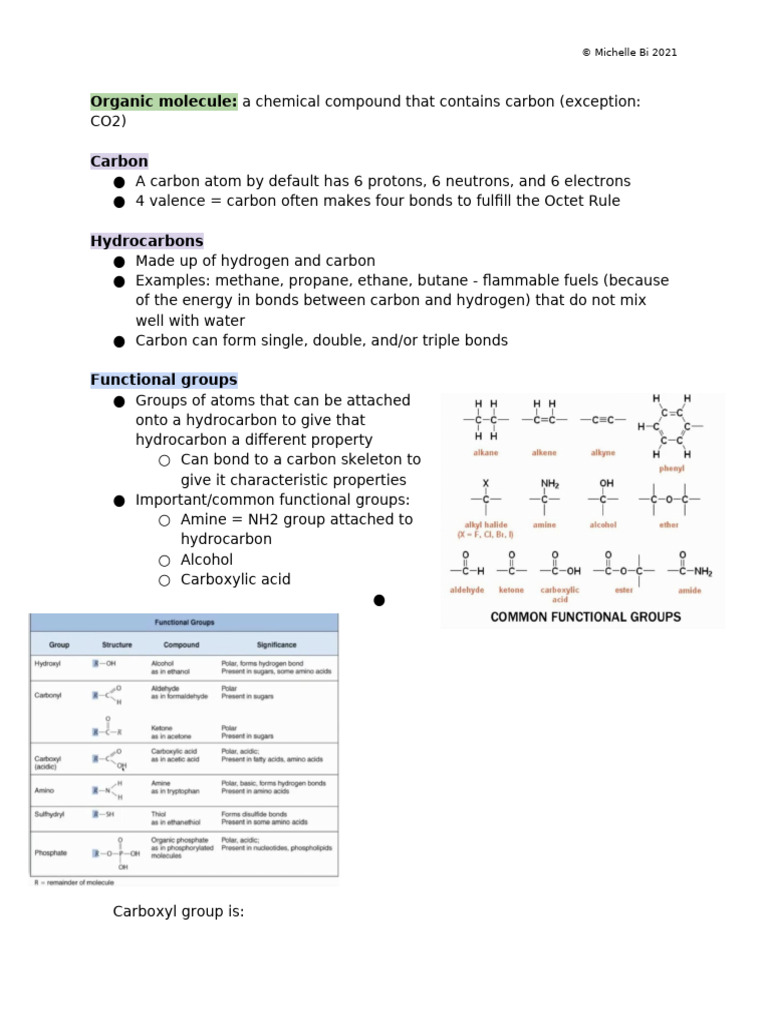 Overview of Organic Molecules and Their Functions | PDF | Carbohydrates ...