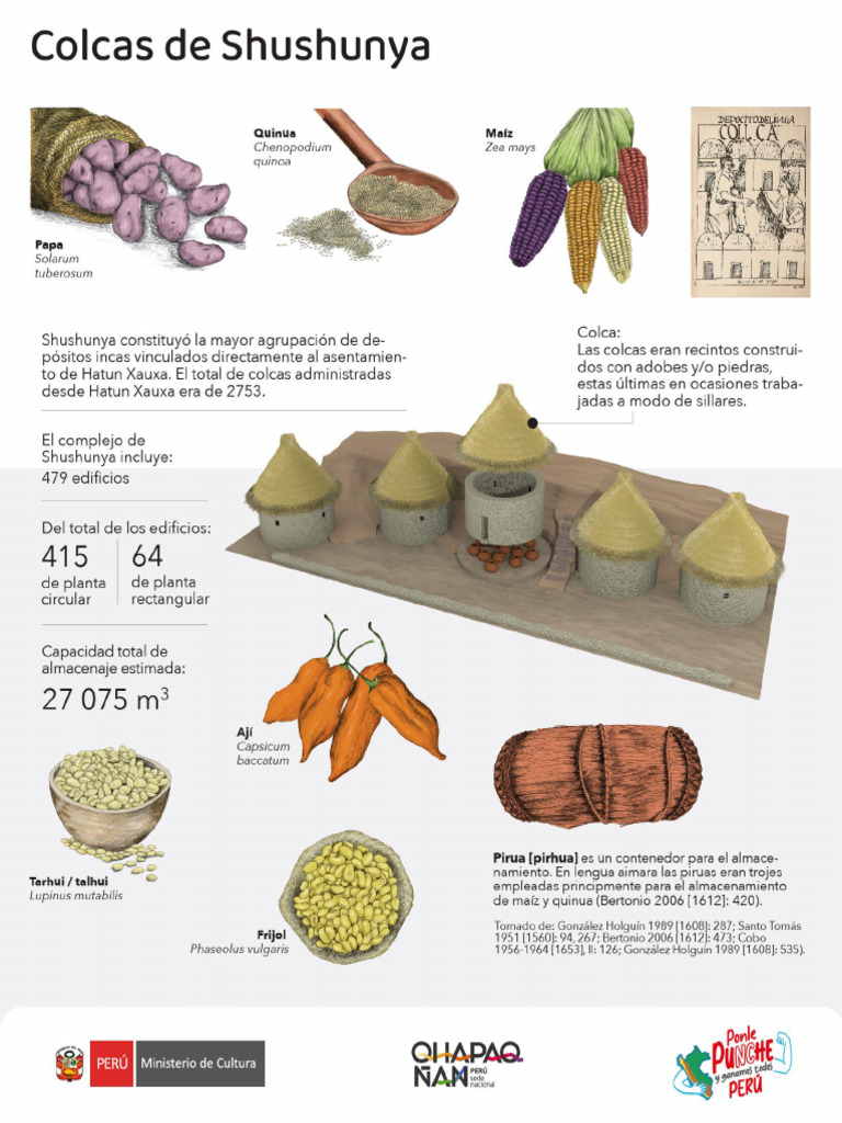 Colcas de Shushunya: Almacenamiento Inca | PDF