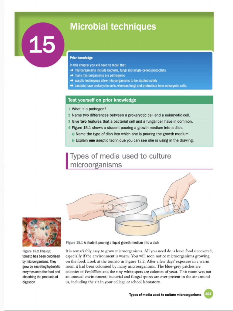 T6a Microbial Techniques | PDF