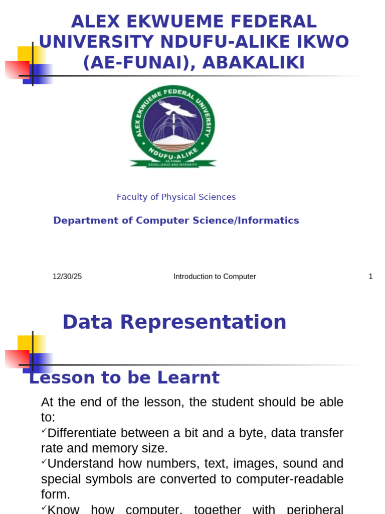 Understanding Data Representation in Computers | PDF | Bit | Byte