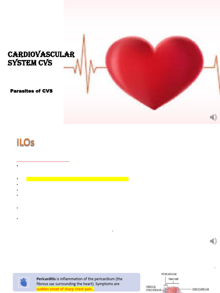 Cardiovascular System CVS 2021 - 231009 - 184426 | PDF | Medical ...