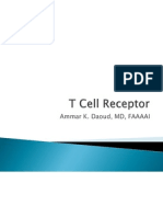7-T Cell Receptor