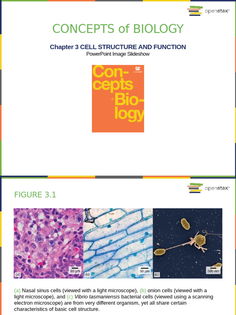 ConceptsofBiology Ch03 | PDF | Cell Membrane | Biochemistry