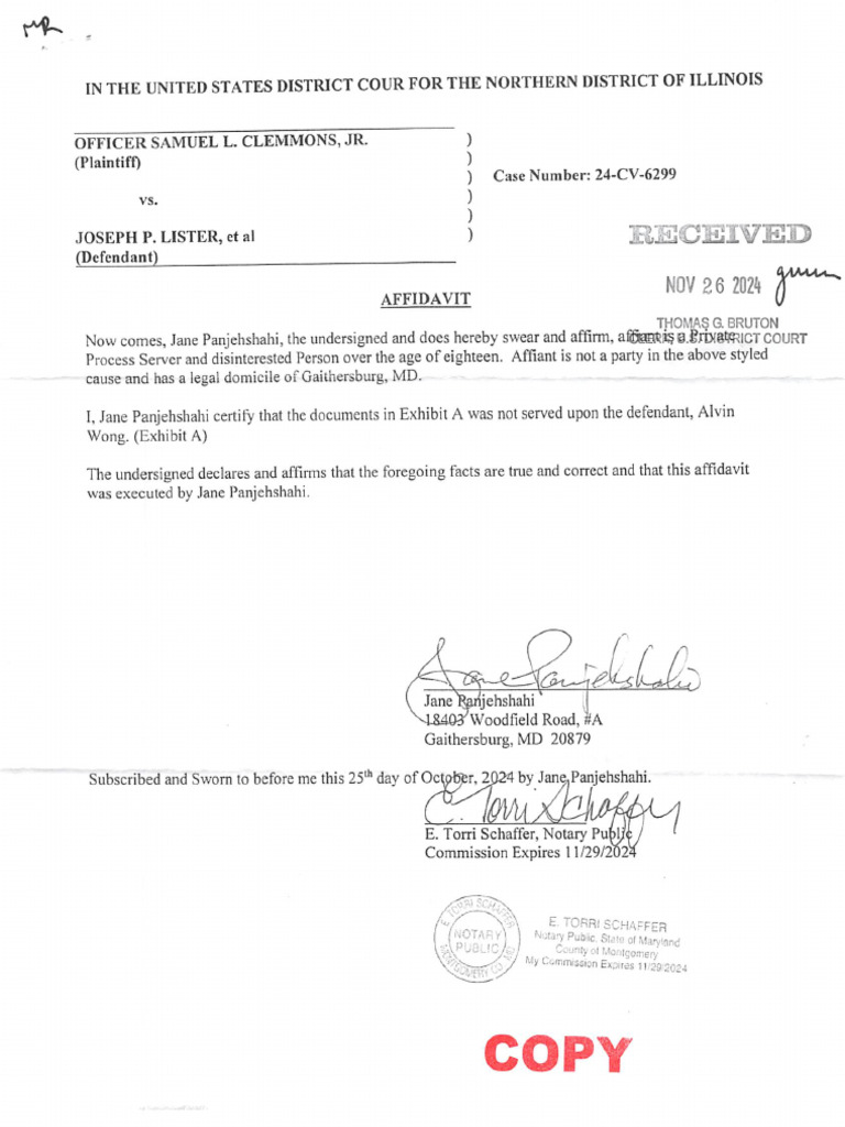 Filed Court Stamped Affidavit | PDF