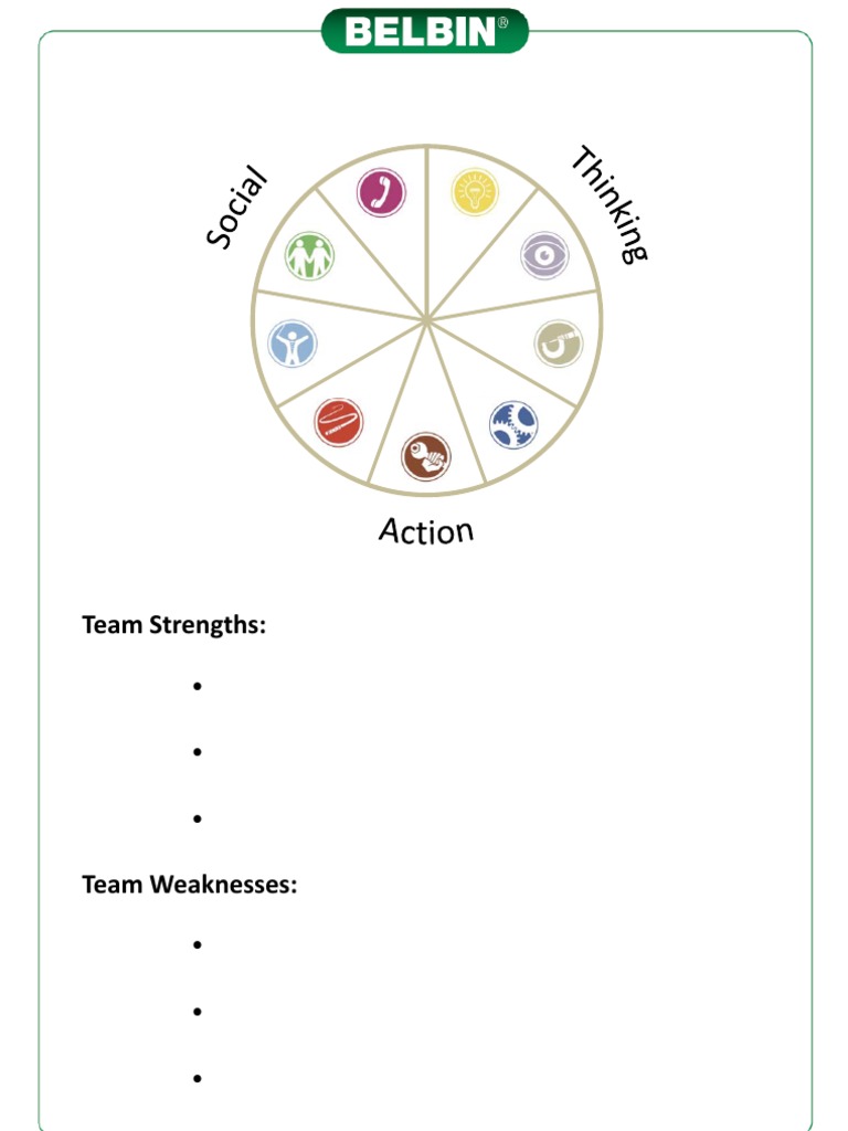 Belbin (Uk) 2011 TeamRoleCircle Handout | PDF